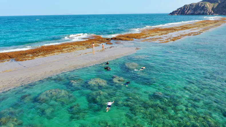 L'eau environnante n'est pas trop profonde, mais claire, invitant les visiteurs à la plongée. Photo: hanoimoi