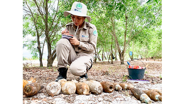 Ngoc Thuy est chargée de déminer les zones de pollution dans la province de Quang Trị. Photo : Organisation Aide populaire norvégienne.