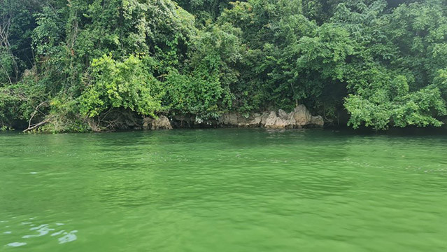 La couleur de l’eau du lac est vert jade. Photo: daidoanket.vn La couleur de l’eau du lac est vert jade. Photo: daidoanket.vn