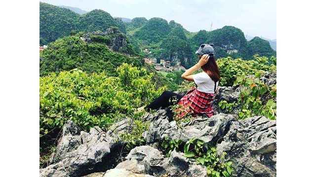 Une couleur verte fraîche dans les quatre côtés. (Photo : son_tung) Une couleur verte fraîche dans les quatre côtés. (Photo : son_tung)