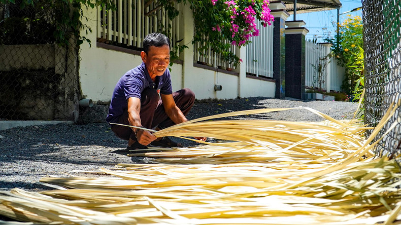 Les habitants sèchent les feuilles de « buông » pour le tressage des éventails. Photo : daidoanket.vn Les habitants sèchent les feuilles de « buông » pour le tressage des éventails. Photo : daidoanket.vn