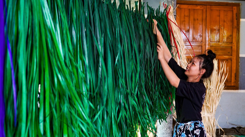 Les éventails en feuilles de « buông » sont entièrement fabriqués à la main. Photo : daidoanket.vn Les éventails en feuilles de « buông » sont entièrement fabriqués à la main. Photo : daidoanket.vn