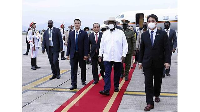 La cérémonie d'accueil du Président de la République d'Ouganda Yoweri Kaguta Museveni à l'aéroport international de Nôi Bài. Photo : VNA. La cérémonie d'accueil du Président de la République d'Ouganda Yoweri Kaguta Museveni à l'aéroport international de Nôi Bài. Photo : VNA.