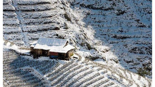 La neige recouvrait les rizières en terrasses à Sapa. Photo : Thetravel.com La neige recouvrait les rizières en terrasses à Sapa. Photo : Thetravel.com