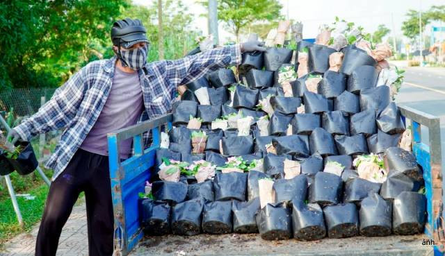 Les habitants s’affairent à transporter les fleurs vers différentes provinces et villes pour leur commercialisation. Photo : VOV. Les habitants s’affairent à transporter les fleurs vers différentes provinces et villes pour leur commercialisation. Photo : VOV.