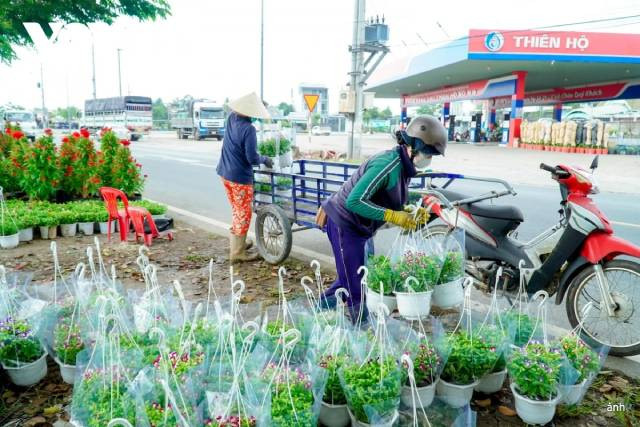 Les visiteurs plongent dans un espace fleuri à Sa Dec, Dông Thap ảnh 4 Les visiteurs plongent dans un espace fleuri à Sa Dec, Dông Thap ảnh 4