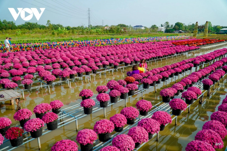 Les visiteurs viennent au village floral avec enthousiasme pour créer des souvenirs inoubliables en famille ou entre amis. Photo : VOV. Les visiteurs viennent au village floral avec enthousiasme pour créer des souvenirs inoubliables en famille ou entre amis. Photo : VOV.