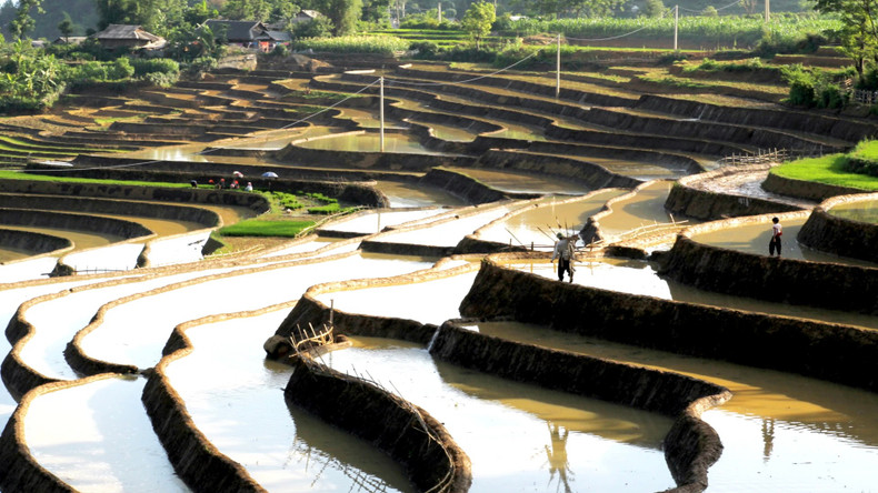 Les rizières en terrasses contribuent à créer le paysage paisible et rustique de la région montagneuse de Lai Châu. Photo : nhandan.vn