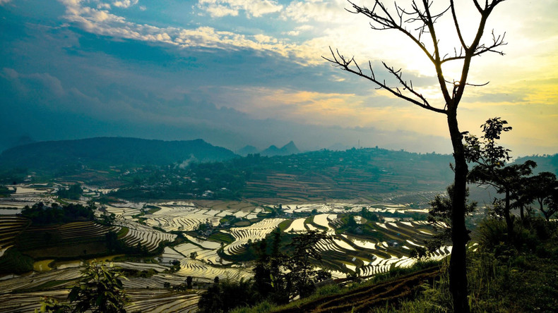 Les rizières en terrasses sont une forme d'agriculture sur des terres en pente familière aux habitants des hautes terres de Lai Châu. Photo : nhandan.vn