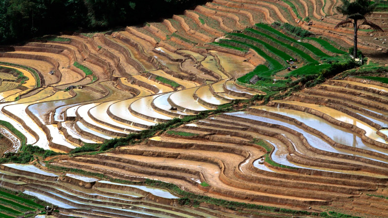 Les rizières en terrasses sont une forme d'agriculture sur des terres en pente familière aux habitants des hautes terres de Lai Châu. Photo : nhandan.vn