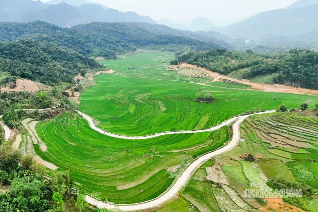 L’enchantement du vert tendre des rizières à Pu Luong ảnh 2