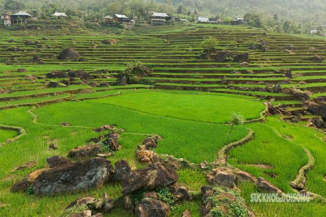 La meilleure période pour visiter Pu Luong s’étend de mai à octobre. En ce moment, le village de Ban Don (Pu Luong) entre dans sa saison de riz vert : les visiteurs peuvent admirer les rizières en terrasses ondulantes, couvertes d’un vert éclatant sur les pentes des collines. Photo: suckhoedoisong.vn