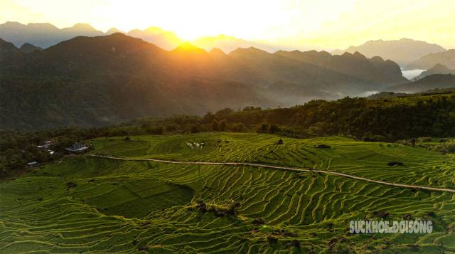 L’enchantement du vert tendre des rizières à Pu Luong ảnh 1