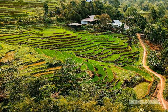 Le rythme de vie paisible des habitants des hautes terres se mêle à la nature au fil des saisons de culture du riz. Photo: suckhoedoisong.vn