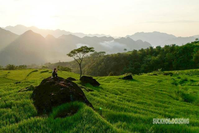 L’enchantement du vert tendre des rizières à Pu Luong ảnh 3