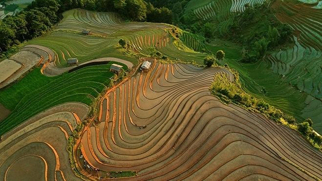 Les rizières en terrasses sont la combinaison parfaite entre la majesté des montagnes et la beauté du travail à travers de nombreuses générations. Les rizières en terrasses sont la combinaison parfaite entre la majesté des montagnes et la beauté du travail à travers de nombreuses générations.