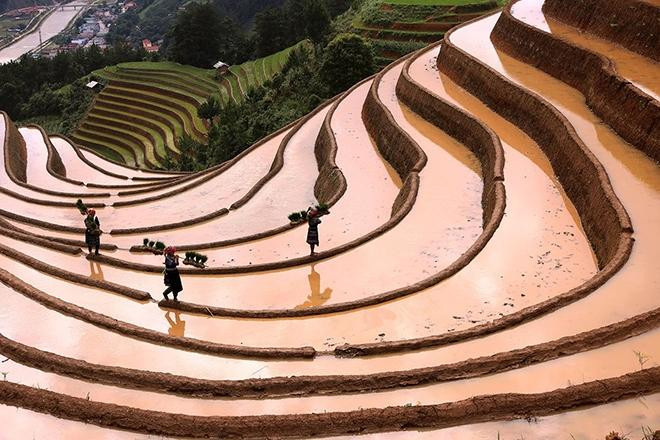 L'eau descend des ravins, à travers des tubes de bambou, se déversant sur la surface du champ en formant de nombreuses taches de couleurs différentes: le brun des alluvions, le vert des plants semés. L'eau descend des ravins, à travers des tubes de bambou, se déversant sur la surface du champ en formant de nombreuses taches de couleurs différentes: le brun des alluvions, le vert des plants semés.