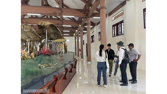 Vue panoramique du squelette du Seigneur Baleine dans la maison d’exposition. Photo : baoquocte.vn Vue panoramique du squelette du Seigneur Baleine dans la maison d’exposition. Photo : baoquocte.vn