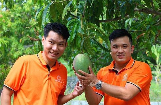 Groupe de jeunes 9X CamLamOnline (district de Cam Lam, province de Khanh Hoa) avec la mangue fraîche présentée sur le site Web. Photo : VNA Groupe de jeunes 9X CamLamOnline (district de Cam Lam, province de Khanh Hoa) avec la mangue fraîche présentée sur le site Web. Photo : VNA
