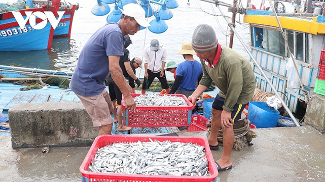 Pour la lutte contre la pêche INN, le secteur agricole ne s'intéresse pas seulement au mécanisme des institutions étatiques, mais également aux actions des pêcheurs. Photo : VOV. Pour la lutte contre la pêche INN, le secteur agricole ne s'intéresse pas seulement au mécanisme des institutions étatiques, mais également aux actions des pêcheurs. Photo : VOV.