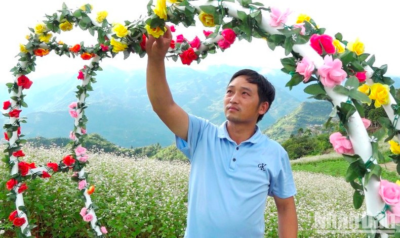 Décoration de la colline des fleurs de sarrasin pour accueillir les visiteurs. Photo : DINH NAM Décoration de la colline des fleurs de sarrasin pour accueillir les visiteurs. Photo : DINH NAM