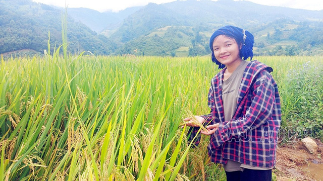 La joie d’une jeune fille de l'ethnie Hà Nhì dans la rizière de la famille. Photo : baolaocai.vn