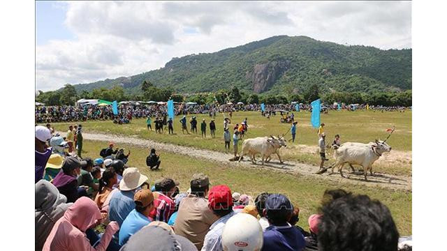 L'événement a attiré des milliers de visiteurs et d’habitants locaux. Photo : VNA. L'événement a attiré des milliers de visiteurs et d’habitants locaux. Photo : VNA.