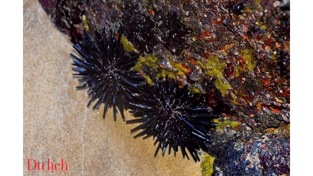 À la découverte de Tam Thiên Dông dans la ville côtière de Quy Nhon ảnh 5