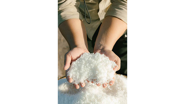 Après une longue période de séchage, le sable sèche et à la surface de chaque grain de sable va se cristalliser en grains de sel. Photo : www.sgtiepthi.vn Après une longue période de séchage, le sable sèche et à la surface de chaque grain de sable va se cristalliser en grains de sel. Photo : www.sgtiepthi.vn