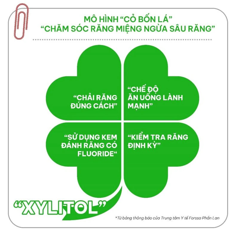 Le modèle du « trèfle à quatre feuilles », un ensemble d’« habitudes intelligentes » populaires, l’application d’une alimentation saine en utilisant un dentifrice au fluor ou des examens dentaires réguliers. Photo : nhandan.vn Le modèle du « trèfle à quatre feuilles », un ensemble d’« habitudes intelligentes » populaires, l’application d’une alimentation saine en utilisant un dentifrice au fluor ou des examens dentaires réguliers. Photo : nhandan.vn