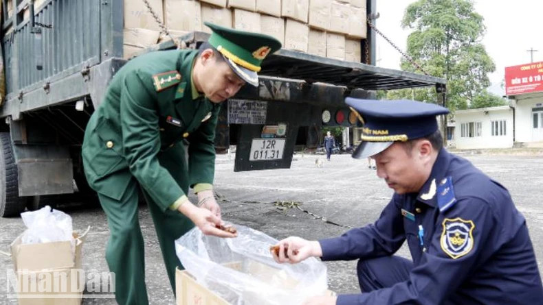 Les autorités du poste-frontière de Nà Nua dans le district de Tràng Dinh, province de Lang Son, contrôlent les expéditions de longanes exportées par le poste-frontière. Photo : NDEL.
