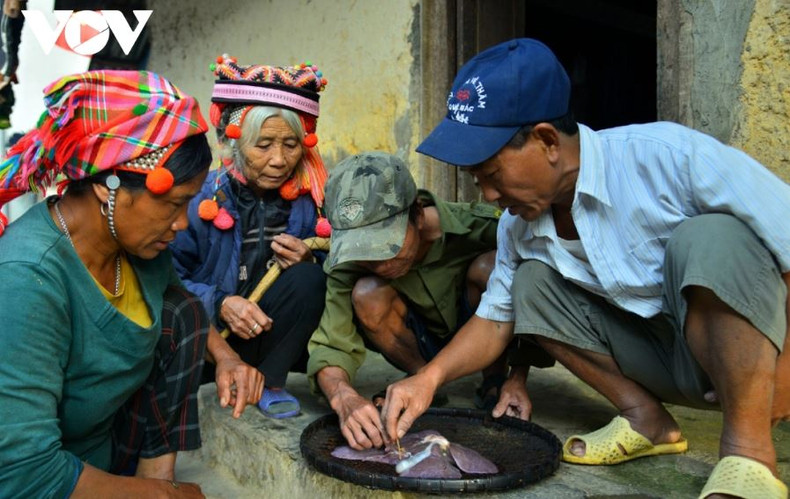 L'une des caractéristiques culturelles spirituelles uniques que les Ha Nhi conservent encore pendant la fête traditionnelle du Têt est la coutume de regarder du foie de porc. Photo: VOV L'une des caractéristiques culturelles spirituelles uniques que les Ha Nhi conservent encore pendant la fête traditionnelle du Têt est la coutume de regarder du foie de porc. Photo: VOV