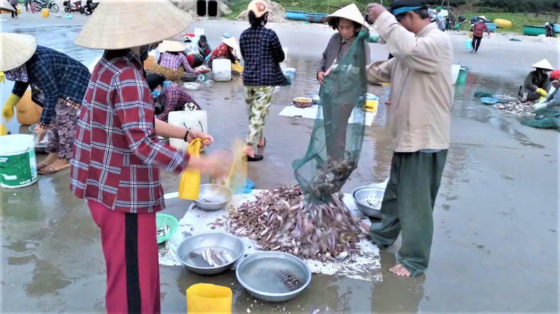 Les commerçants achètent des fruits de mer pour en approvisionner les restaurants et les marchés de gros de la région.