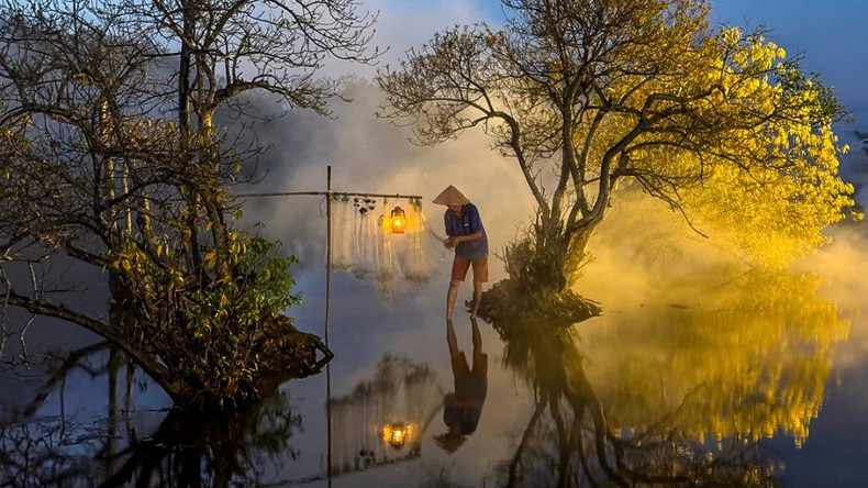 Le paysage pittoresque de la mangrove de Rú Chá est aussi beau qu'une peinture. Photo : VOV. Le paysage pittoresque de la mangrove de Rú Chá est aussi beau qu'une peinture. Photo : VOV.