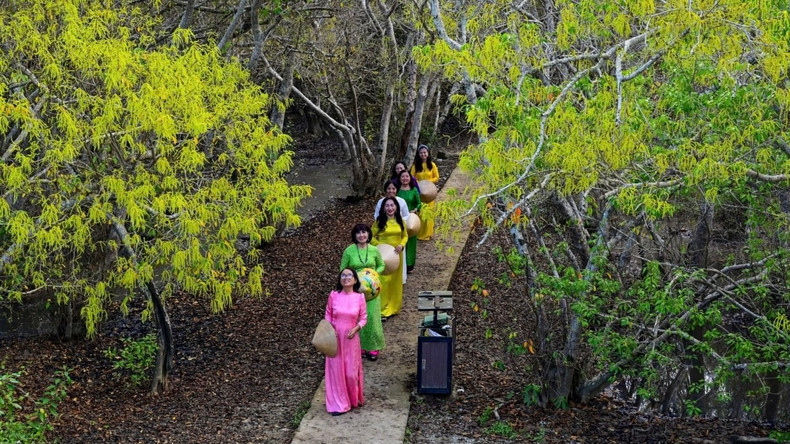 Les visiteurs prennent plaisir à capturer des images de l'automne doré, un spectacle rare. Photo : VOV. Les visiteurs prennent plaisir à capturer des images de l'automne doré, un spectacle rare. Photo : VOV.