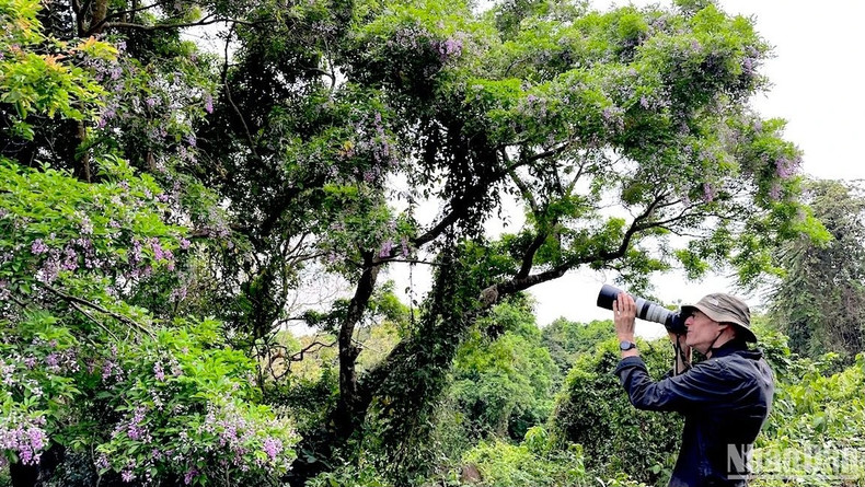 Franz Johann, 67 ans, de nationalité allemande, a passé 2 mois à voyager à Dà Nang. Photo : nhandan.vn Franz Johann, 67 ans, de nationalité allemande, a passé 2 mois à voyager à Dà Nang. Photo : nhandan.vn