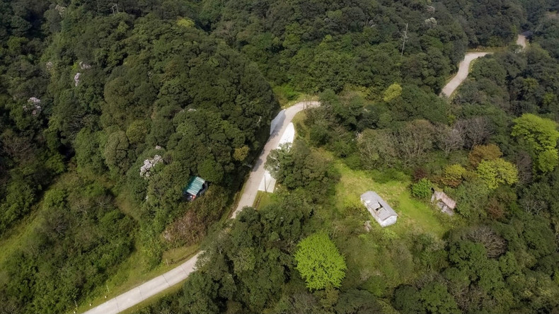 La végétation verte des arbres. Photo : VOV. La végétation verte des arbres. Photo : VOV.