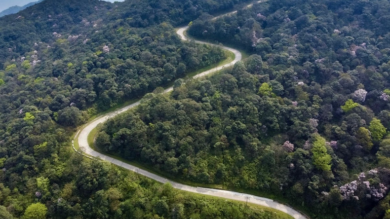 Les routes sinueuses sont sous les hautes montagnes. Photo : VOV. Les routes sinueuses sont sous les hautes montagnes. Photo : VOV.