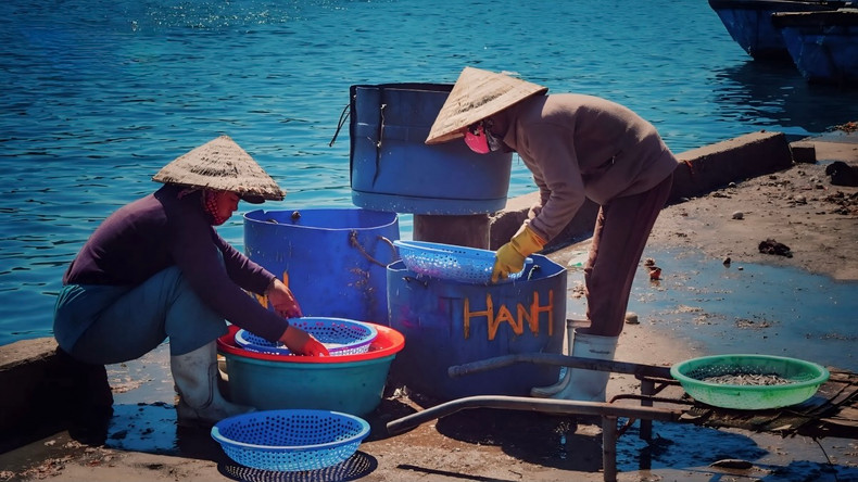 Le travail quotidien des pêcheurs du village côtier de Sa Huynh. Photo : VOV. Le travail quotidien des pêcheurs du village côtier de Sa Huynh. Photo : VOV.