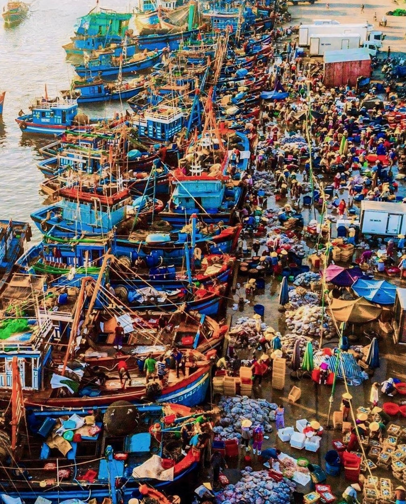 Marché animé aux poissons de Sa Huynh au tôt le matin. Photo : VOV. Marché animé aux poissons de Sa Huynh au tôt le matin. Photo : VOV.