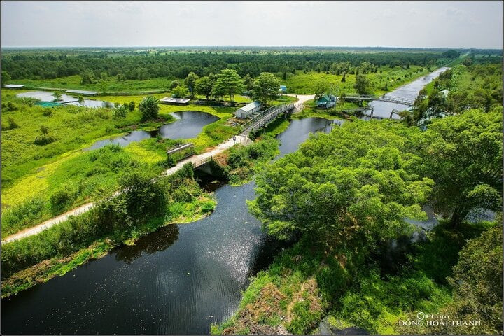 Le parc national d’U Minh Ha a été inscrit par l'UNESCO sur la liste des réserves mondiales de biosphère en 2009. Photo : vtcnews.vn Le parc national d’U Minh Ha a été inscrit par l'UNESCO sur la liste des réserves mondiales de biosphère en 2009. Photo : vtcnews.vn