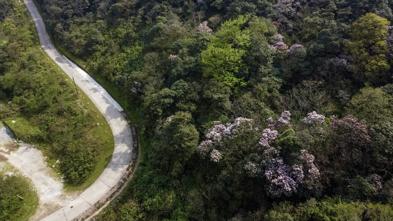 Le parc national Phia Oac - Phia Den fait partie du géoparc Non Nuoc Cao. Photo : VOV. Le parc national Phia Oac - Phia Den fait partie du géoparc Non Nuoc Cao. Photo : VOV.