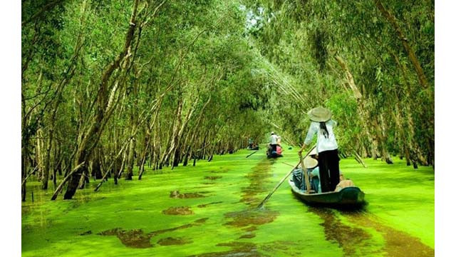 Il s’agit d’une terre d'environnement écologique spécial avec de nombreuses sites archéologiques et historiques. Photo : vtcnews.vn Il s’agit d’une terre d'environnement écologique spécial avec de nombreuses sites archéologiques et historiques. Photo : vtcnews.vn