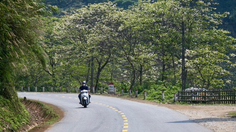 À cette époque, les visiteurs à Cao Bang peuvent également voir d'innombrables fleurs sauvages s'épanouir après des mois d'hiver froid. Photo : VOV. À cette époque, les visiteurs à Cao Bang peuvent également voir d'innombrables fleurs sauvages s'épanouir après des mois d'hiver froid. Photo : VOV.