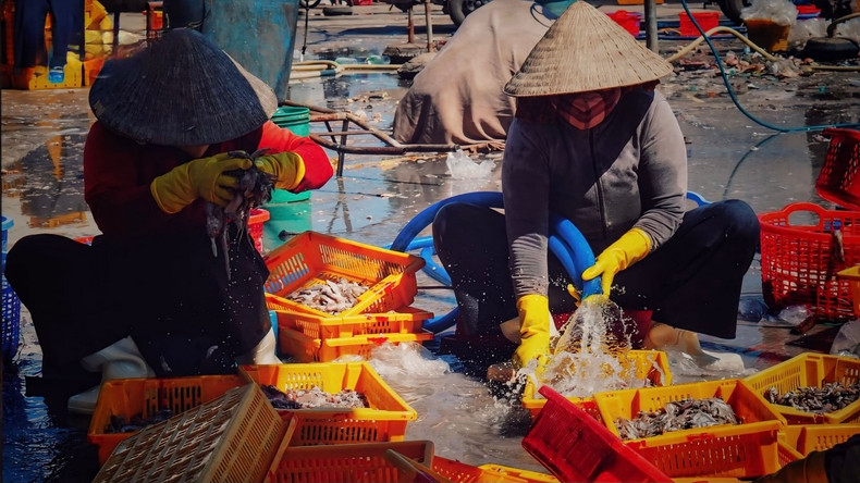 Femmes du village de pêcheurs de Sa Huynh. Photo : VOV. Femmes du village de pêcheurs de Sa Huynh. Photo : VOV.