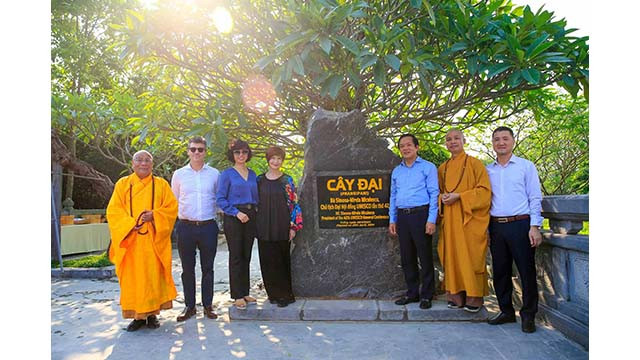 Prise des photos de souvenirs à l'arbre de frangipanier. Prise des photos de souvenirs à l'arbre de frangipanier.