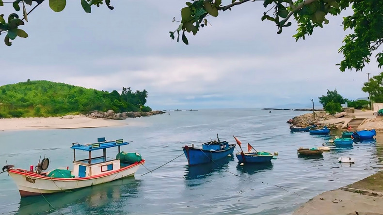 L’estuaire de Sa Huynh, lieu où les bateaux vont à la mer. Photo : VOV. L’estuaire de Sa Huynh, lieu où les bateaux vont à la mer. Photo : VOV.