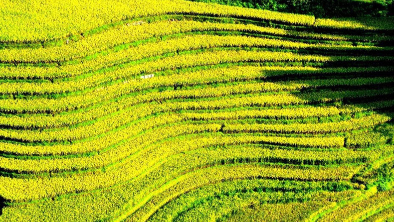 Elles sont aujourd'hui un produit touristique spécifique de cette localité. Photo: NDEL