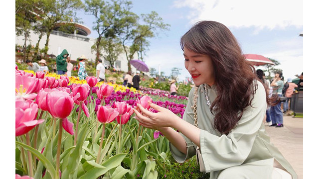 Les visiteurs ne peuvent s'empêcher d’être séduits par la beauté des tulipes. Photo : NDEL. Les visiteurs ne peuvent s'empêcher d’être séduits par la beauté des tulipes. Photo : NDEL.