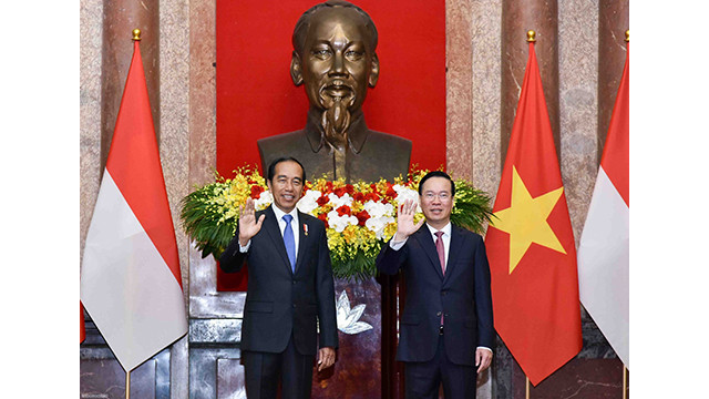 Le Président Vo Van Thuong (à droite) et Président indonésien Joko Widodo (à gauche). Photo: baoquocte.vn